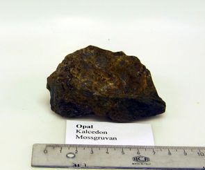 Opal Mossgruvan VG 038